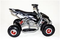 Mini Quad Bike - Quads